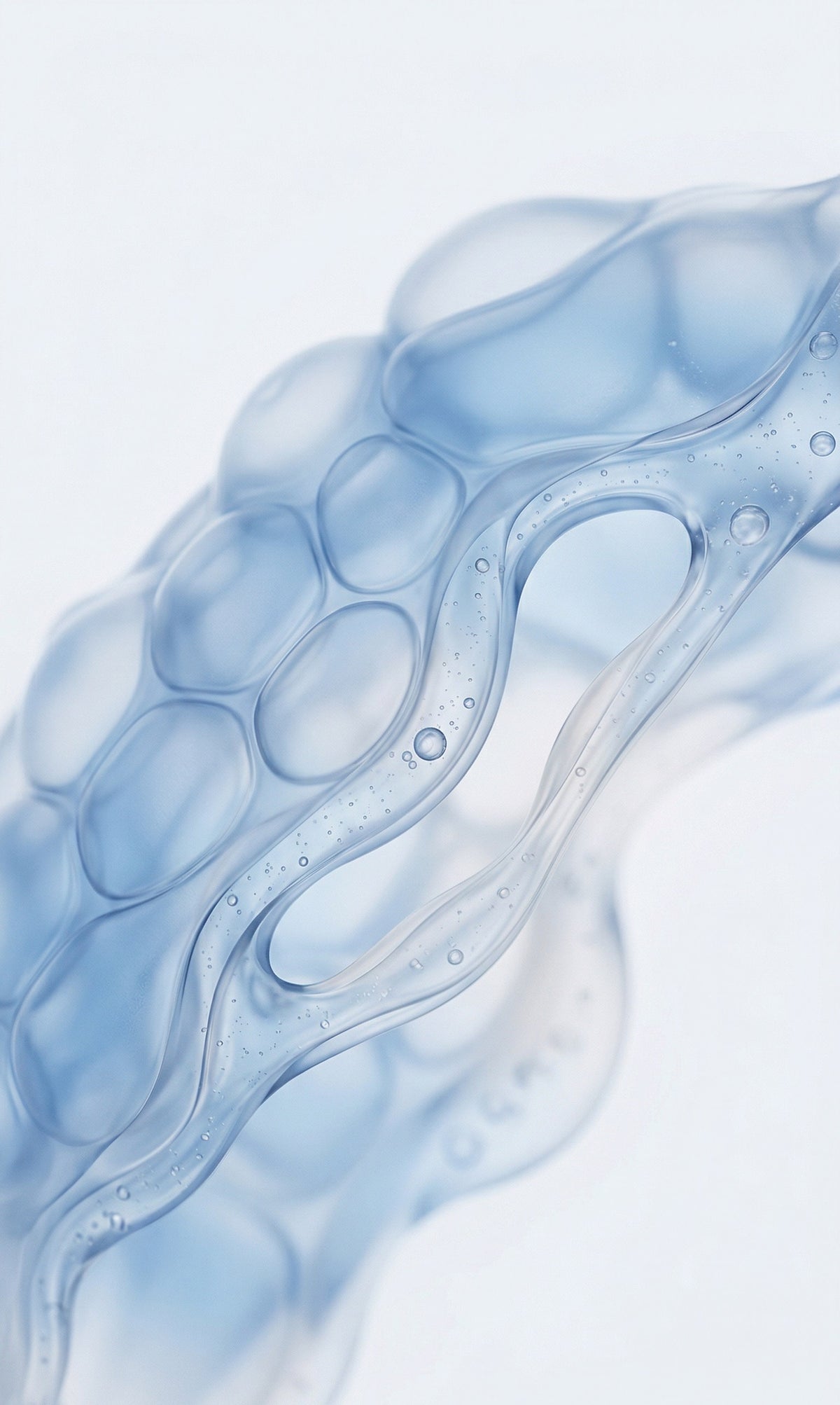 Panthenol (provitamine B5)