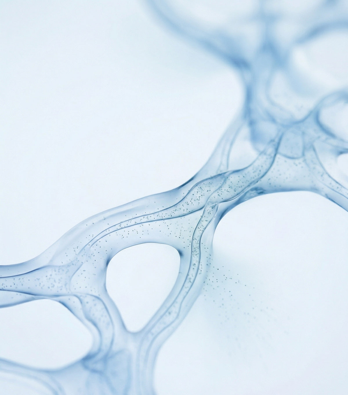 Huile essentielle d'arbre à thé